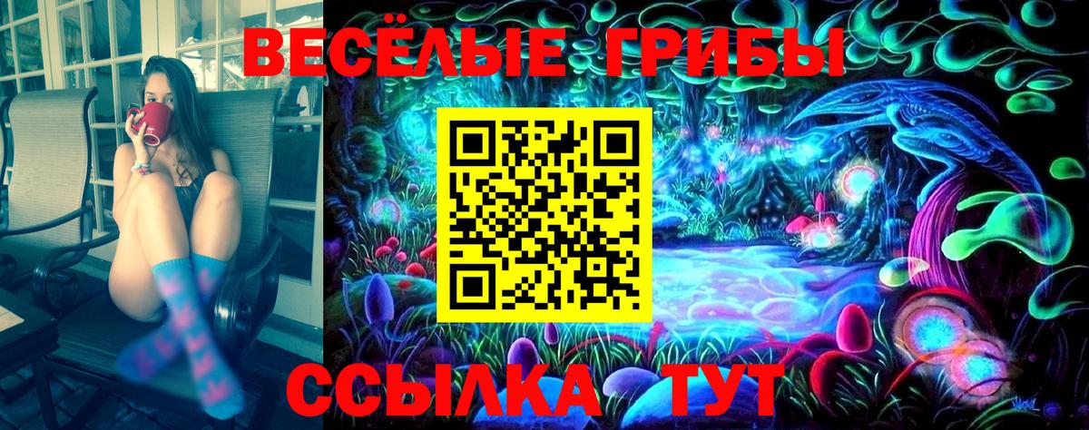 Псилоцибиновые грибы прущие грибы Луга