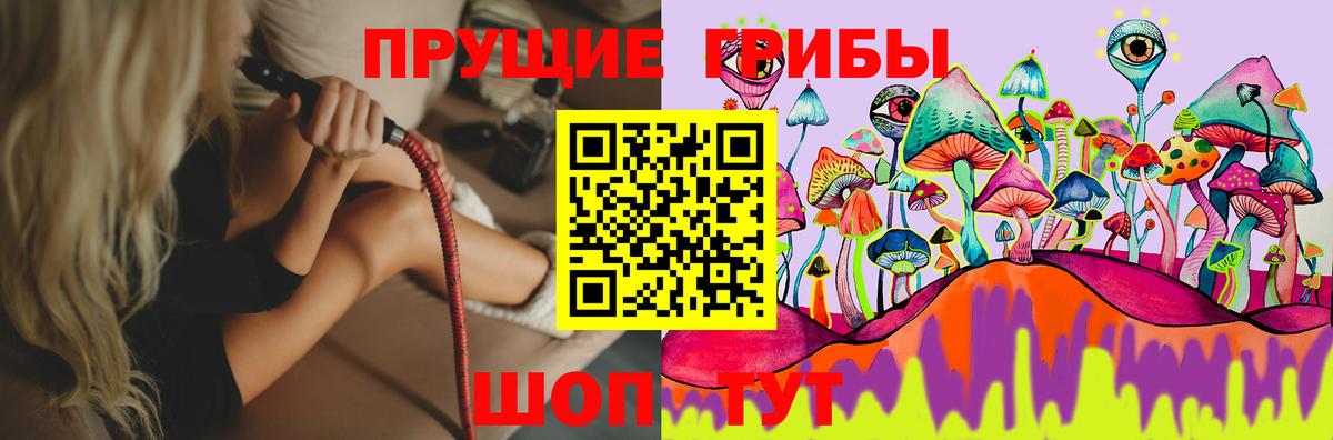 Луга  Псилоцибиновые грибы Psilocybe  Вход с VPN 